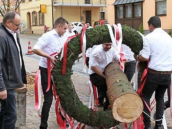 Die Kerwasburschen beim Aufstellen des Baums Foto: Mathias Erlwein