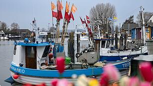 Spaziergang in Niendorf