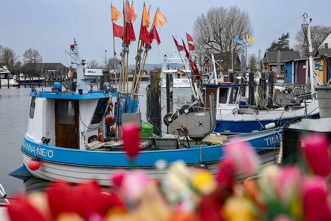 Spaziergang in Niendorf