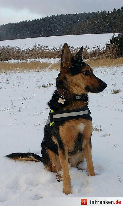 Eis und Schnee in Franken - die schönsten Winterleserfotos