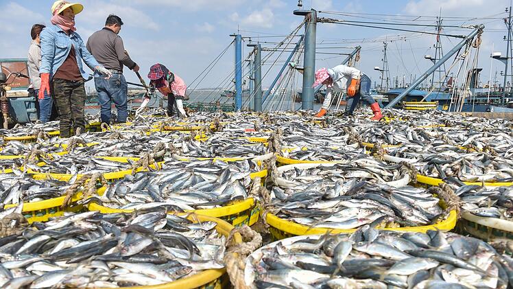 Fischerei in China