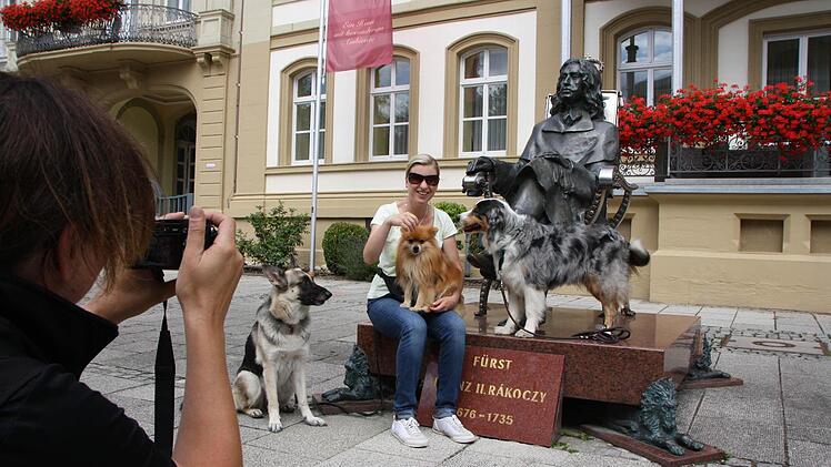Hundepsychologin Manuela Lieflaender und Tierärztin Christina Schulte-Lohgerber haben sich gemeinsam mit ihren Hunden Samy, Hailey und Fee in Bad Kissingen umgesehen. Foto: Ralf Ruppert