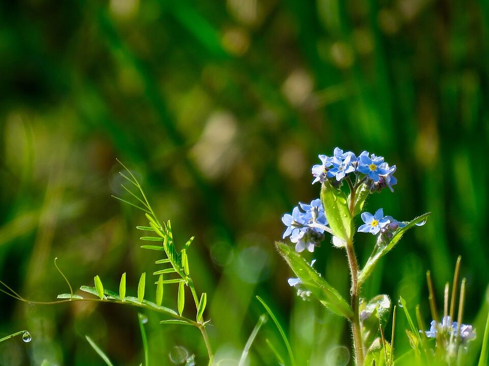 Die schönsten Frühlingsfotos aus den Haßbergen