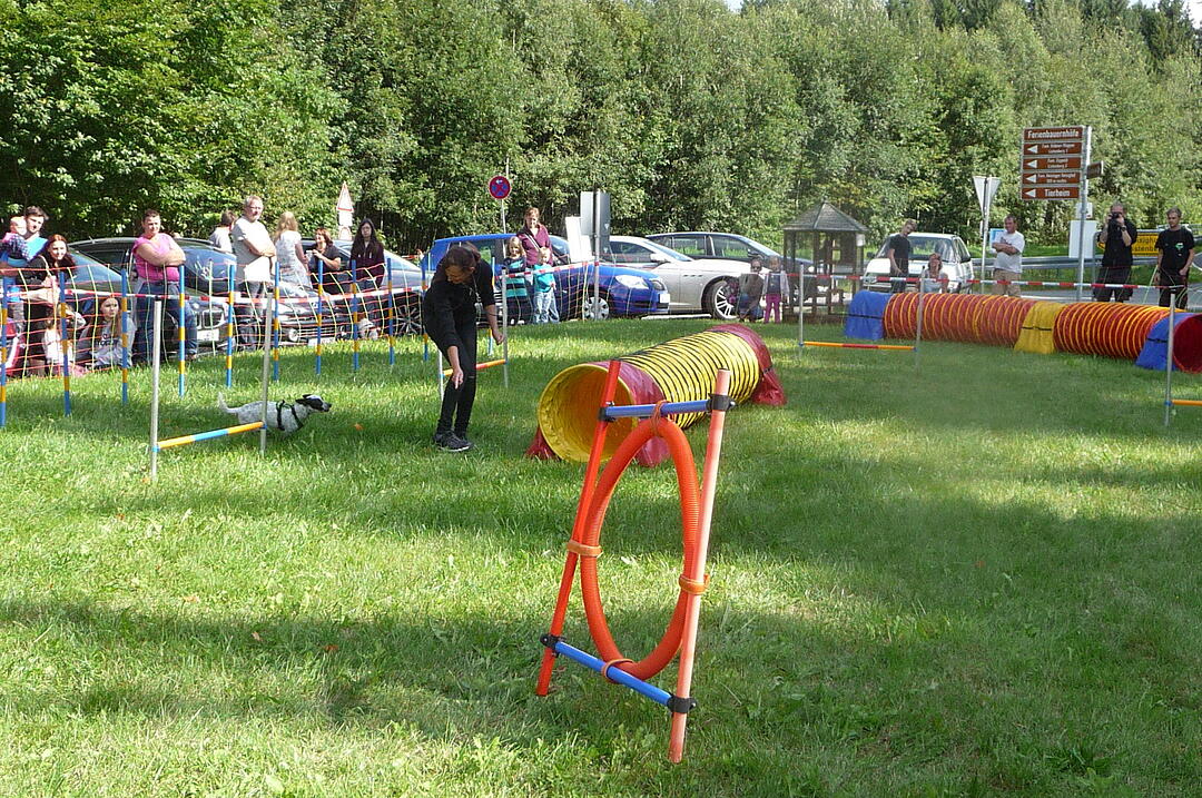 19.8.2017 Tierheimfest Kulmbach