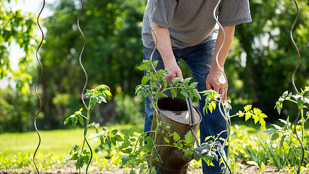 Garten, Gartenarbeit, gesund durch Gartenarbeit