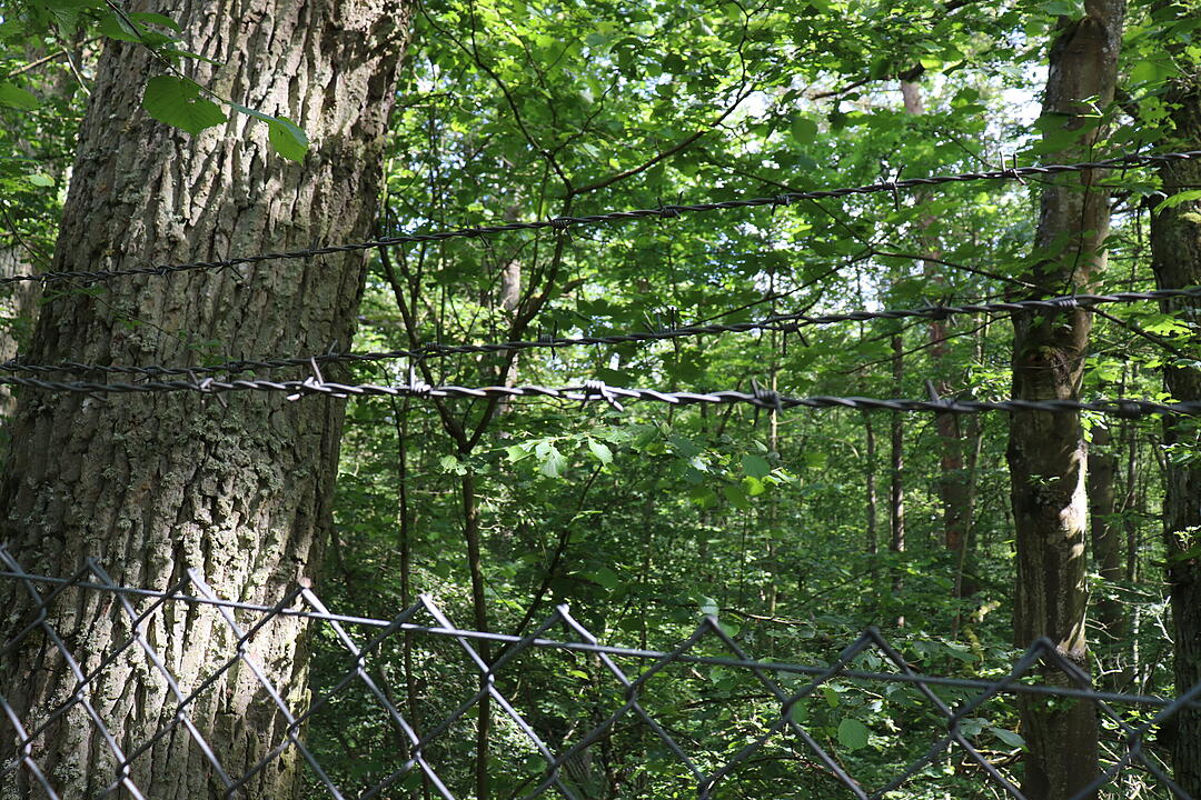 Lost Place US-Waffenbunker im Wald