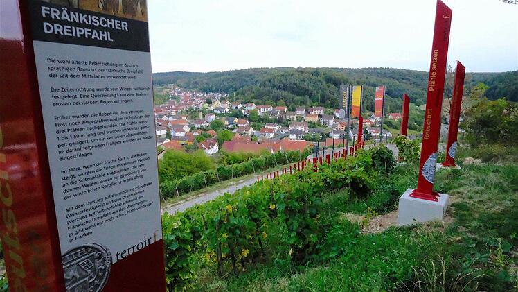 Eindrucksvoll gestaltet: "terroire f" auf dem Weinberg mit Blick auf Ramsthal. Foto: Gerd Schaar
