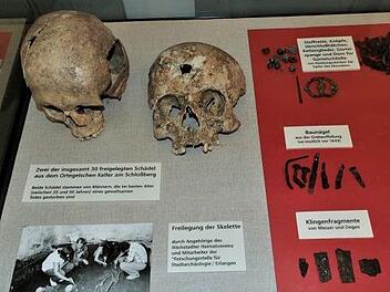 Im Höchstadter Stadtmuseum sind zwei der Schädel zu sehen, die 1985 bei Ausgrabungen am Schlossberg gefunden wurden.    Foto: Britta Schnake