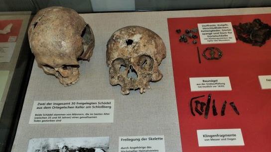 Im Höchstadter Stadtmuseum sind zwei der Schädel zu sehen, die 1985 bei Ausgrabungen am Schlossberg gefunden wurden. Foto: Britta Schnake Im Höchstadter Stadtmuseum sind zwei der Schädel zu sehen, die 1985 bei Ausgrabungen am Schlossberg gefunden wurden. Foto: Britta Schnake