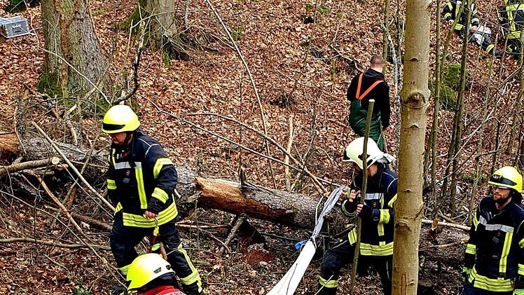 Landkreis Kulmbach: Reiterin stürzt mit Pferd Hang hinunter - "In großer Gefahr"