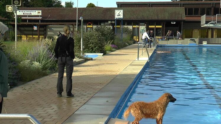 Einstiegshilfen aus Holz haben die flei&szlig;igen Helfer der Wasserwacht f&uuml;r die Hunde angefertigt.