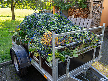 Gartenabfall, Garten, Grünschnitt, Grünschnitt entsorgen