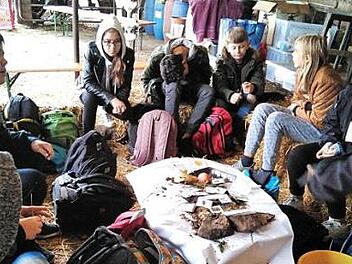 Die Mittelschüler lernten auf dem Bauernhof.  Foto: Amt für Landwirtschaft