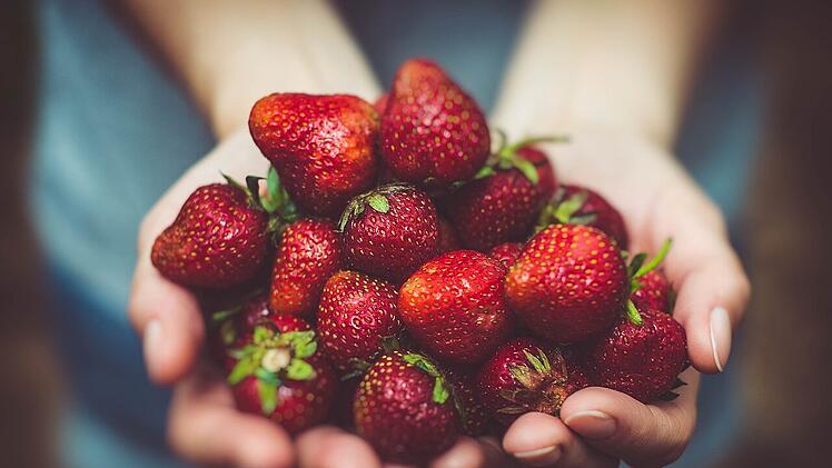 Die Studienergebnisse zeigen: Wer regelmäßig Erdbeeren aß, hatte weniger Tau-Proteine im Gehirn.