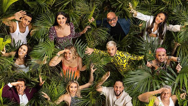 Chaos im Dschungelcamp: Stars bereits evakuiert