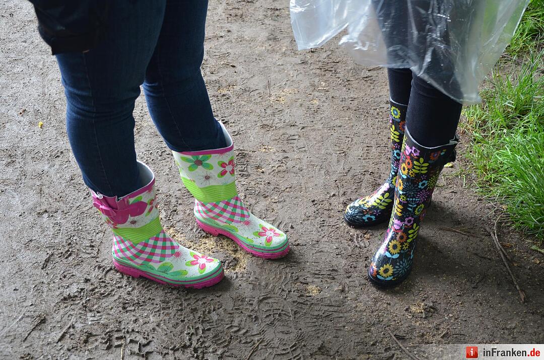 Rock im Park 2016 - Spaß trotz Regen