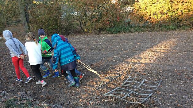 Die Drittkl&auml;ssler der Rudolf Steiner Schule  eggen das Feld, das sie gemeinsam bestellen werden. privat