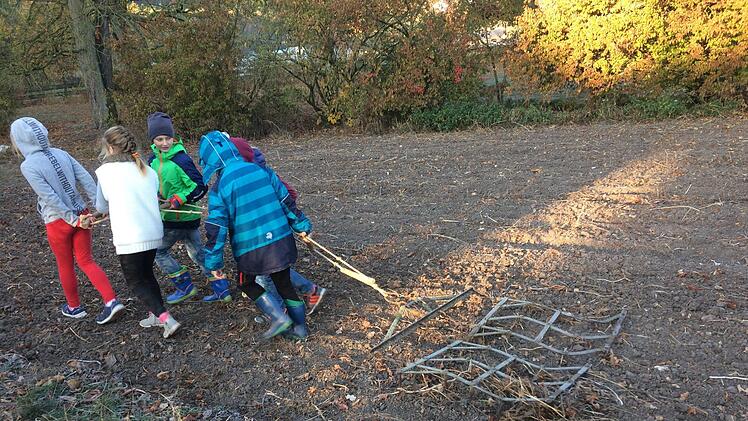 Die Drittklässler der Rudolf Steiner Schule  eggen das Feld, das sie gemeinsam bestellen werden. privat