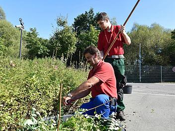 Niels Gehringer mit seinem Paten Matthias Oschema bei der Arbeit Foto: privat