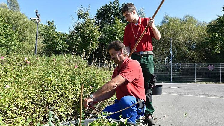 Niels Gehringer mit seinem Paten Matthias Oschema bei der Arbeit Foto: privat