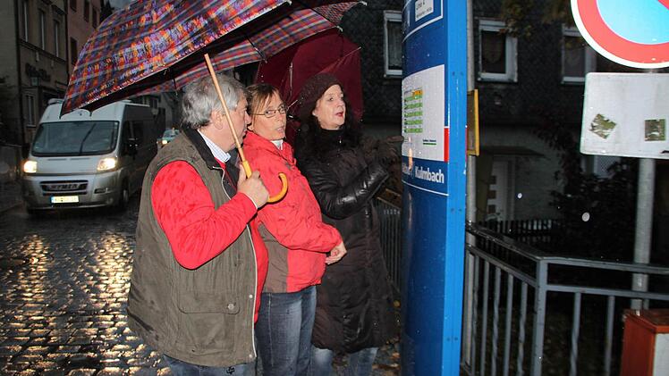 Stehen die Stadträte der Grünen/Offene Liste Hans-Dieter Herold und Doris Stein (rechts) - hier zusammen mit der neuen Kreisrätin Dagmar Keis-Lechner - künftig im Regen? Wenn die neue Geschäftsordnung des Stadtrats verabschiedet wird, sollen zwei Stadträte keine Fraktion mehr bilden. Foto: Stephan Tiroch