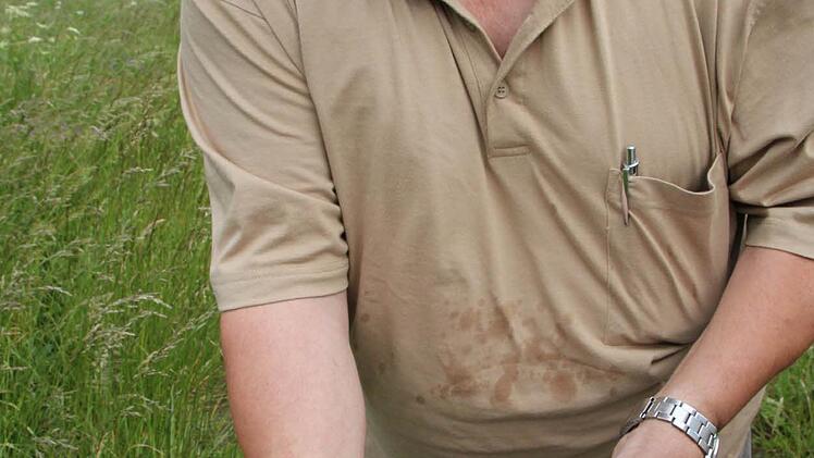 Armin Sauermann, Vorsitzender des Fischereivereins Bad Brückenau, zeigt Brütlinge der Bachforelle. Foto: Ulrike Müller