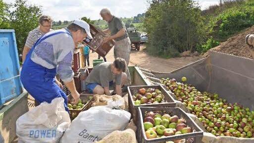 Die Äpfel werden verladen. Foto: Andrea Spörlein