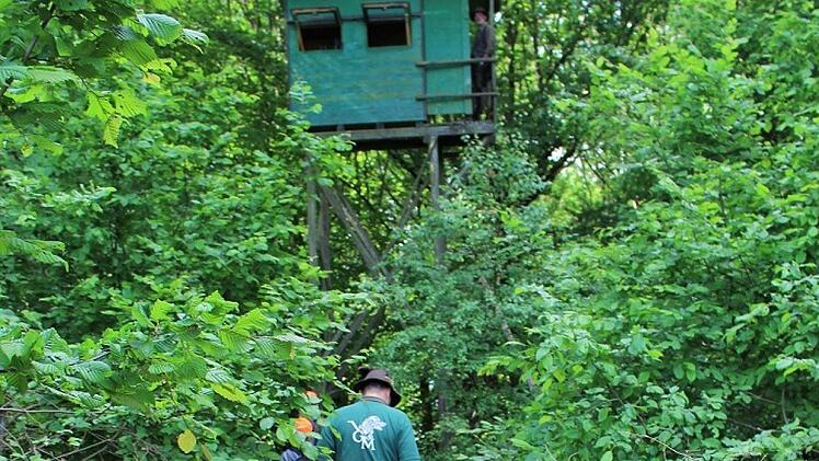 Die Besteigung des Hochsitzes mit Hilfe der Jäger: Ein absoluter Höhepunkt für alle Schüler.