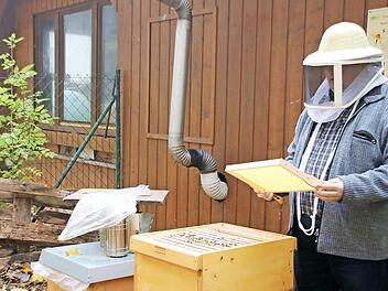 Dieter Schölzke sieht nach einem Bienenvolk. Alles im grünen Bereich. Bei schönem Wetter fliegen die Bienen sogar noch.  Fotos: Thomas Malz