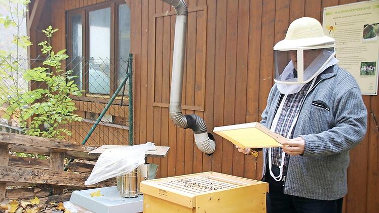 Dieter Schölzke sieht nach einem Bienenvolk. Alles im grünen Bereich. Bei schönem Wetter fliegen die Bienen sogar noch.  Fotos: Thomas Malz