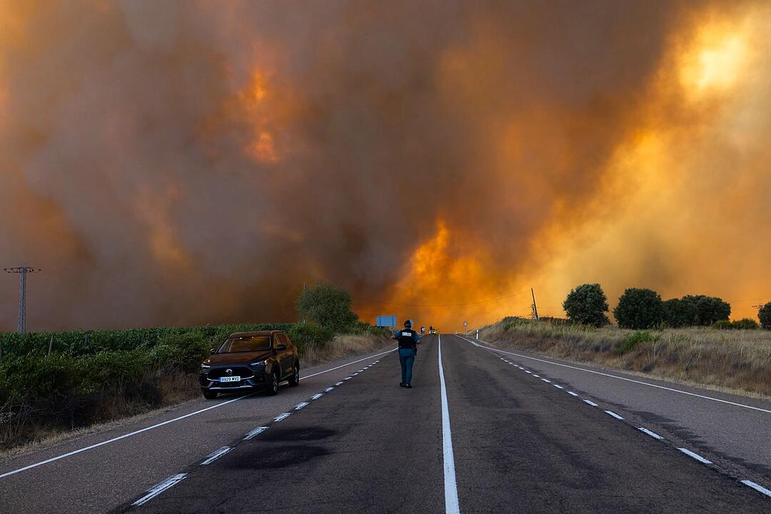 Waldbr&auml;nde in Spanien