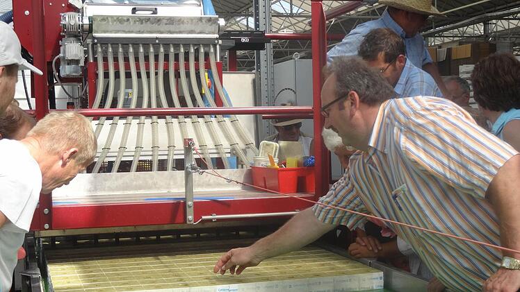 Der Bezirksvorsitzende des Unterfränkischen Gärtnereiverbandes Elmar Gimperlein kontrolliert, ob auch keine Gurkenkerne fehlen.