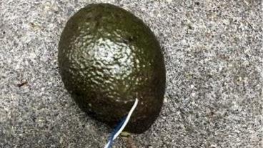 Aufregung am Gemüseregal in einem Discounter in München. Eine Kundin entdeckt eine verdächtige Avocado. Foto: Polizei München