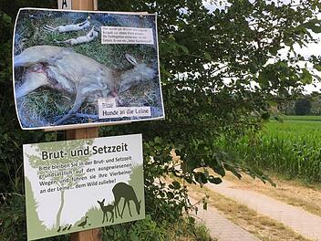 Diese Schilder am Weg zwischen Scheßlitz und Zeckendorf sollen dafür sorgen, dass  Hundehalter ihre Tiere in der  für Wild  schwierigen Zeit  draußen an die Leine nehmen. Anette Schreiber