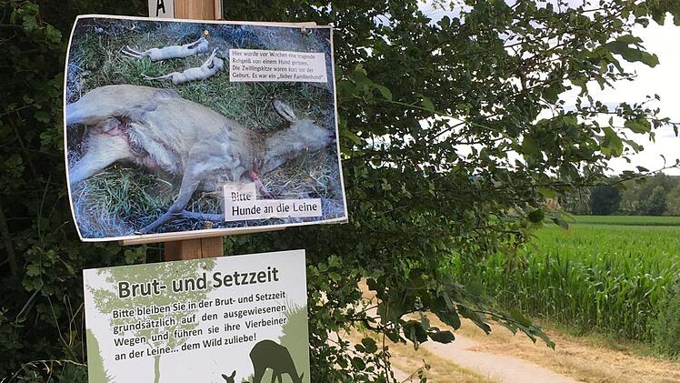 Diese Schilder am Weg zwischen Scheßlitz und Zeckendorf sollen dafür sorgen, dass  Hundehalter ihre Tiere in der  für Wild  schwierigen Zeit  draußen an die Leine nehmen. Anette Schreiber