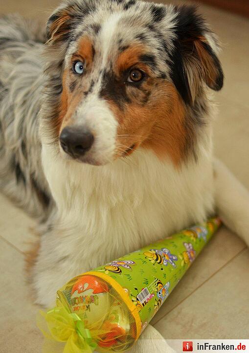 Das sind die besten Schultüten-Bilder unserer User