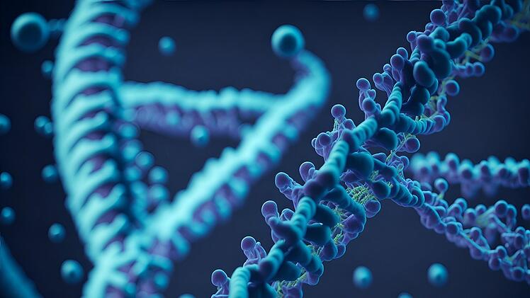 Die DNA trägt die Erbinformationen, die an die Nachkommen weitervererbt werden.