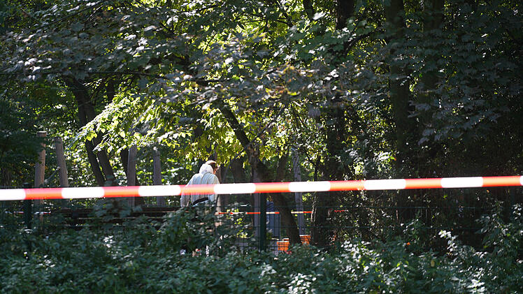 Tote Frau im Volkspark Humboldthain gefunden