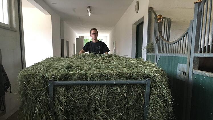 Ein großer Ballen Heu passt auf den Futterwagep.Foto: Anette Schreiber