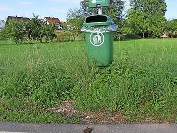 In der Hallerndorfer Flur gibt es seit Monaten mehrere Hundekotbeutelhalter mit Abfalleimern. Doch von manchen verantwortungslosen Hundehalter wird dies einfach ignoriert. Foto: Mathias Erlwein