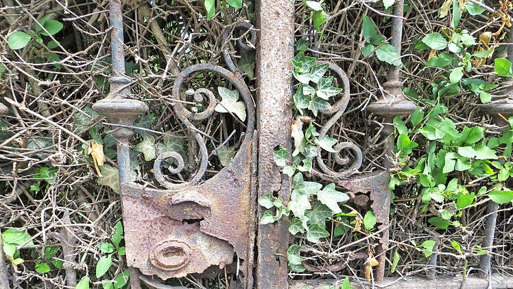 Der frühere Zustand des Gartenzauns  Fotos: Hans-Heinrich Eidt