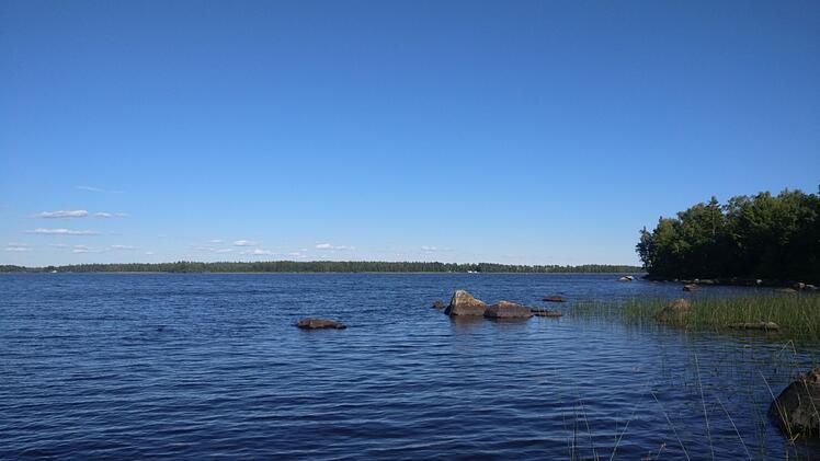 Urlaub, Wandern, Reise, Natur, Naturpark, Lüneburg, Lüneburger Heide, Heide, Hamburg, Hannover, Bremen, Erlebnis
