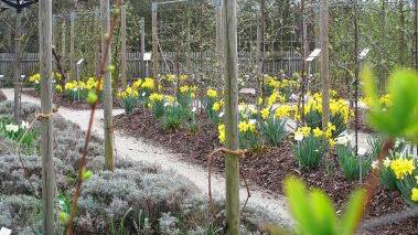 Impressionen aus dem Lehrgarten des Coburger Kreisverbandes für Gartenbau und Landespflege. Foto: Thomas Neder
