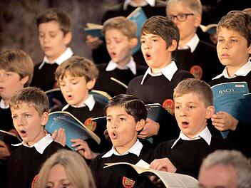 Die Augsburger Domsingknaben  Foto: Pressestelle Landratsamt