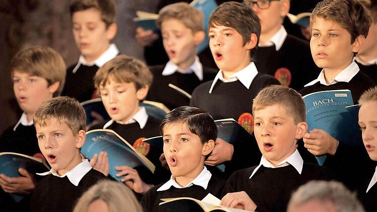 Die Augsburger Domsingknaben  Foto: Pressestelle Landratsamt