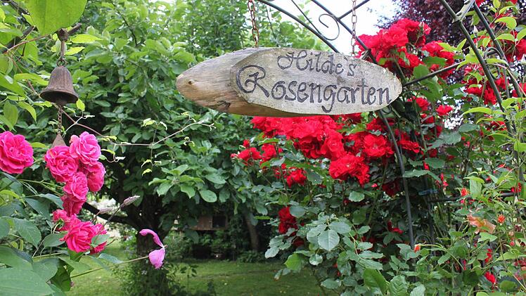 Bewunderer gibt es immer wieder. Das Holzschild hat die Rosenliebhaberin geschenkt bekommen.