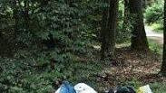 Müll im Wald Foto: Polizei Lichtenfels