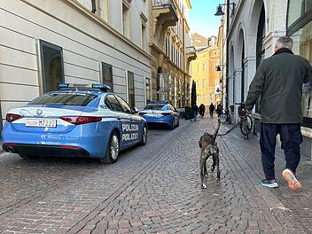 Hunde in Bozen