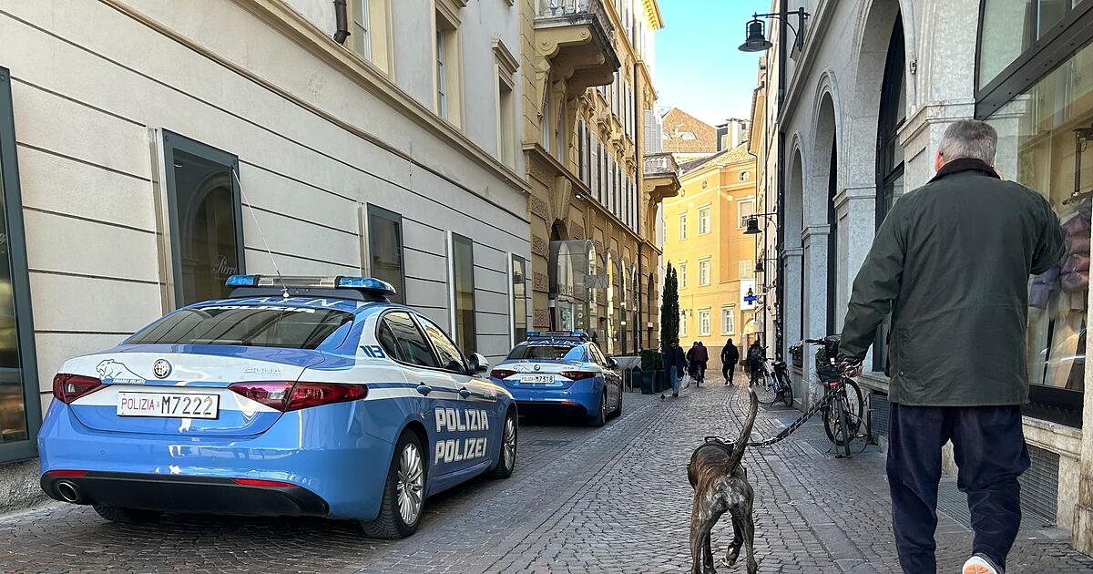 S-dtirol-gibt-Pl-ne-f-r-Hunde-Taxe-von-Urlaubern-auf