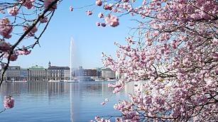 Einschalten der Alsterfont&auml;ne